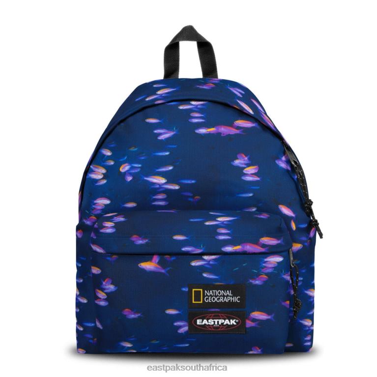 Padded Pak'r Ng Fish Eastpak 4N2448Backpacks